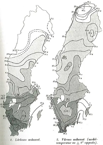 Vårens genomsnittliga ankomst i början av 1900-talet.