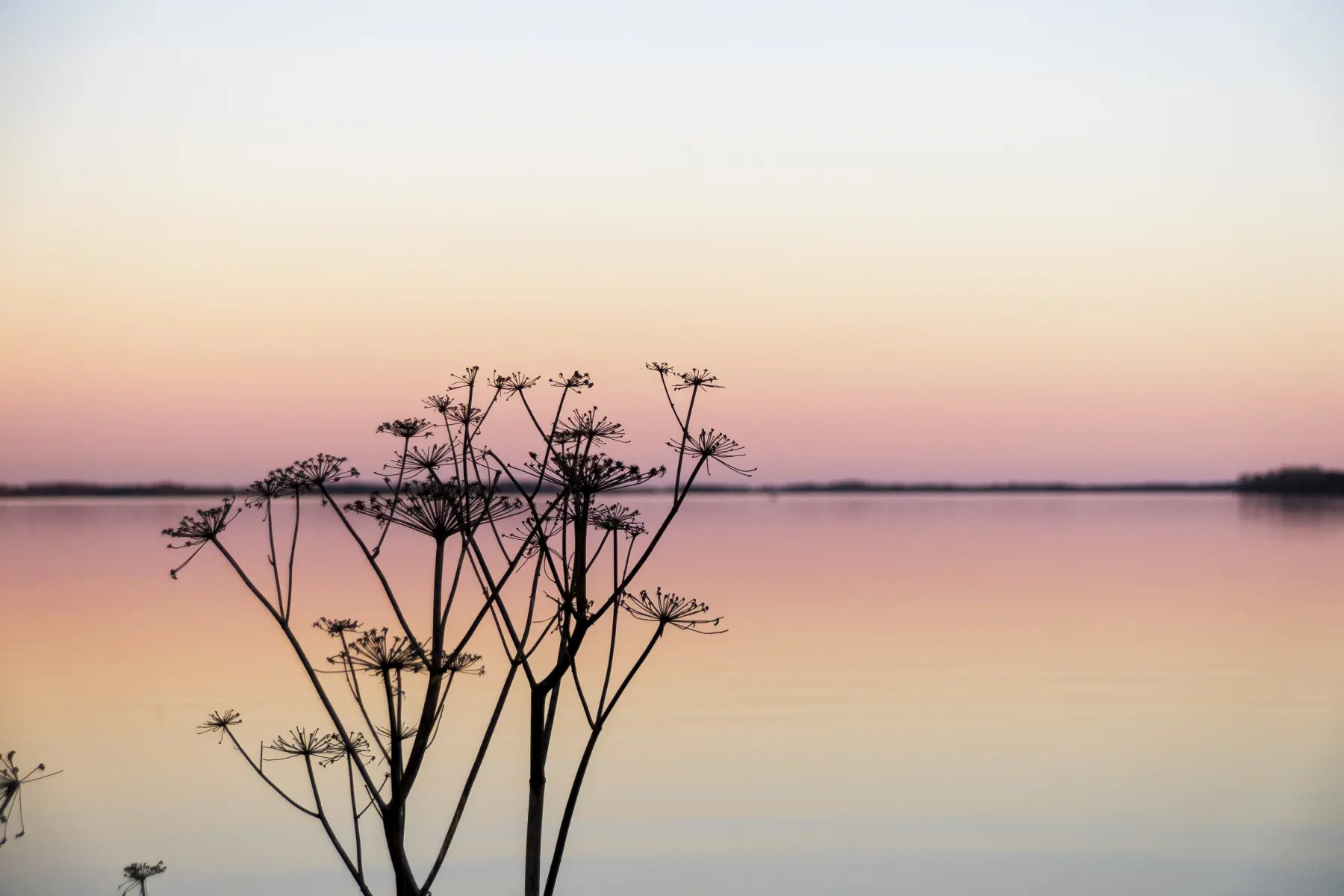 Skymning vid Hjälmaren