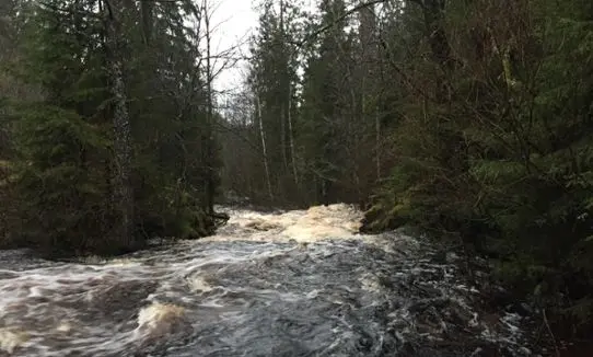 Högt flöde i Ätran. 