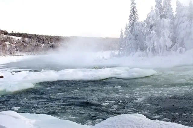 Isproppar i Storforsen i Piteälven