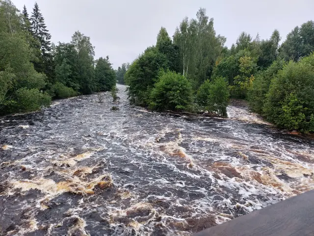 Foto på flödande vatten i Testeboån