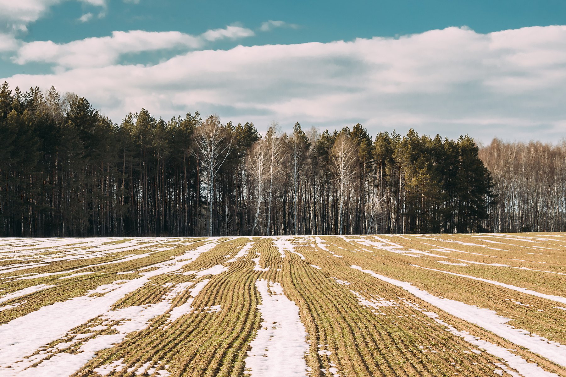 mp53526224-spring-plowed-field-partly-covered-winter-melting-snow.jpg