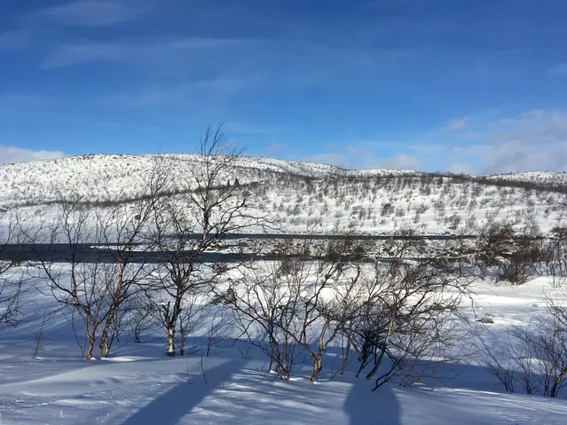 Utsikt ned mot Tarrakoski, Torneträsks utlopp.