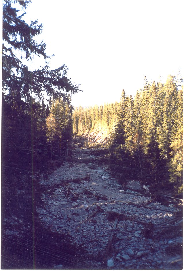 Vy ut över Stora Göljån från en tvärbrant kant.