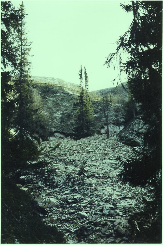 Ravin vid Göljåstugan.