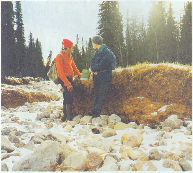 En bit av en myr som slitits loss