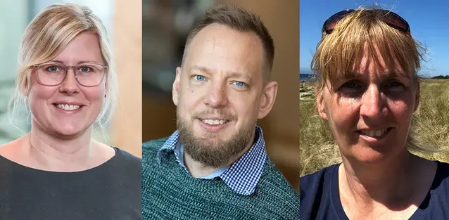 Karin Lundgren Kownacki, Per Bodin, Susanne Ekroth,