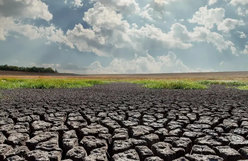 Solen skiner över torr åkermark där inget kan växa.