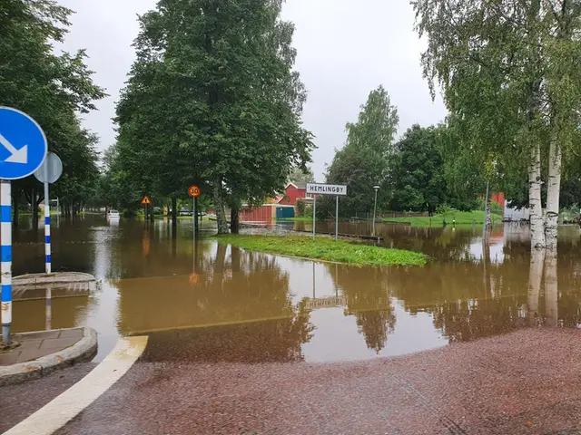 Foto av en översvämmad väg.