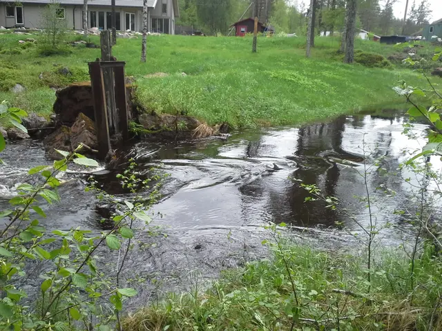 Hyttingsheden vid lägre vattenflöde