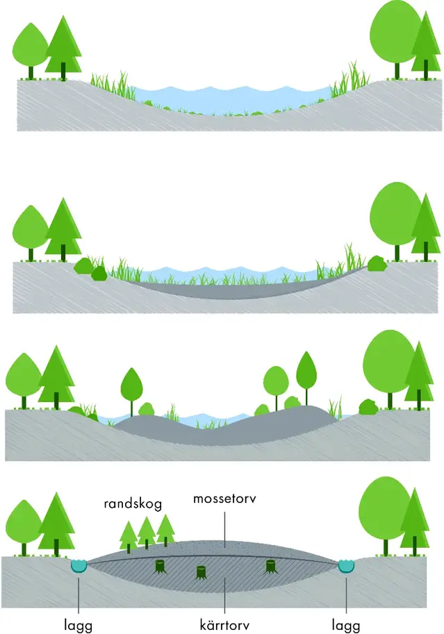 Vägen till en mosse