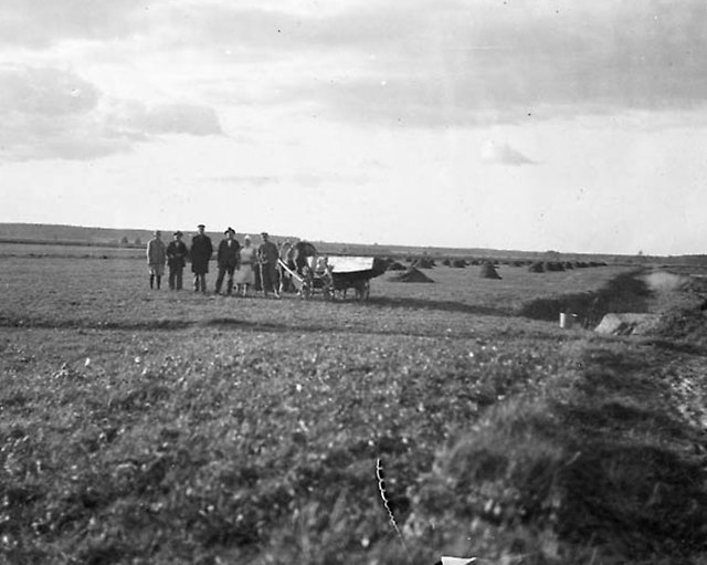 Mosjöns botten, efter sjösänkning av Hjälmaren