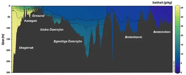 Tabell som visar salthalten i sjöar och hav.