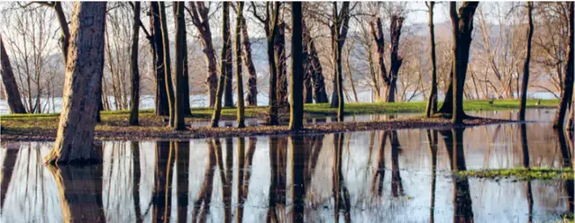 infoblad uppdrag mellan myndigheter