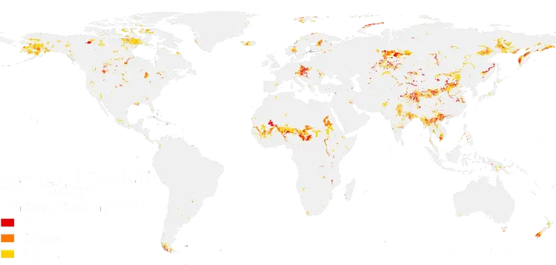 En bild som visar applikationen World Wide HYPE