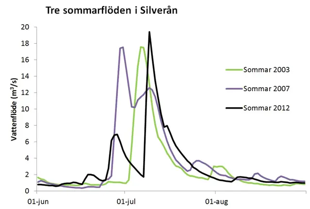 Graf över tre sommarflöden i Silverån.