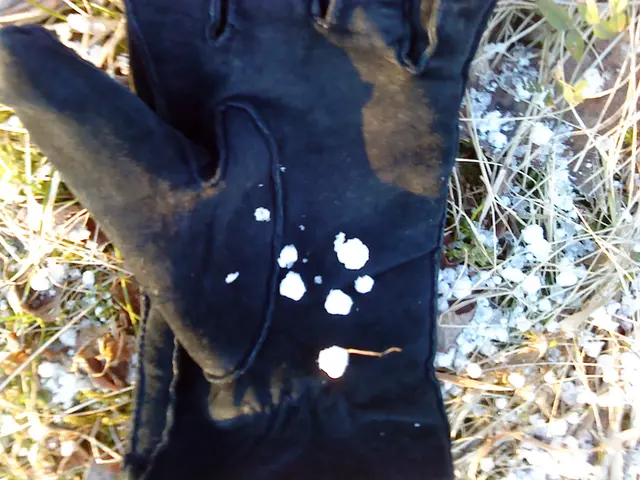 Snöhagel eller som det hette förr trindsnö som föll i april 2012 i Norrköping