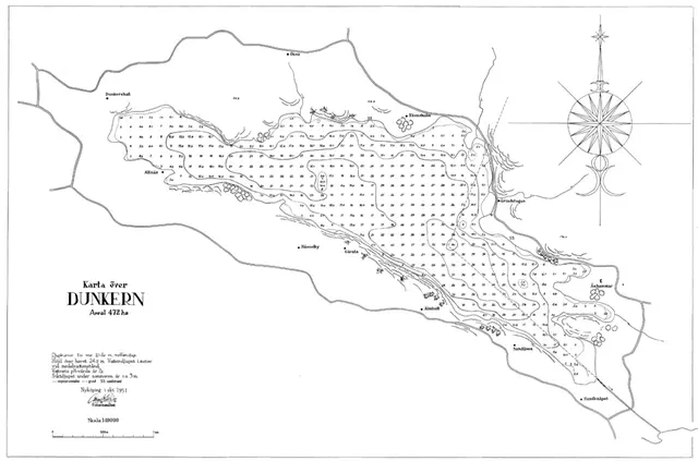 Svartvit handmålad bild