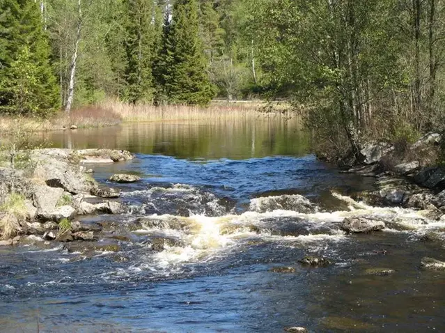 En naturlig tröskel där vattnet går från en plan yta till ett strömmande vatten