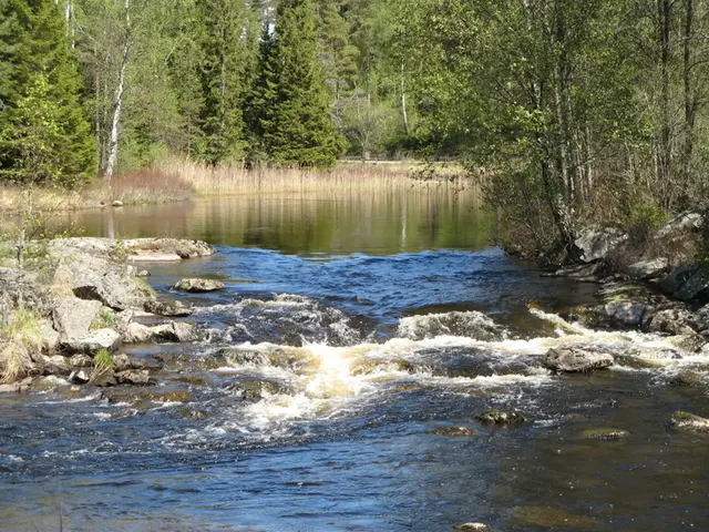 Bestämmande sektion Flötemarken