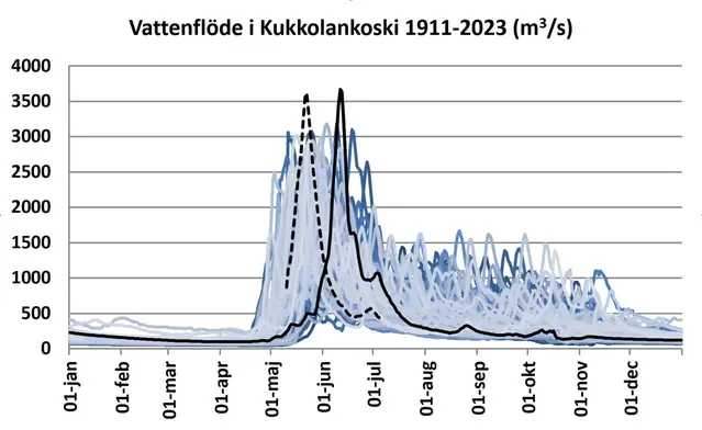 Graf över flödet vid stationen Kukkolankoski, 2023 års flöde är nästan lika högt som 1968 och det kommer tidigare på året